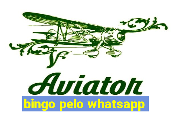 bingo pelo whatsapp